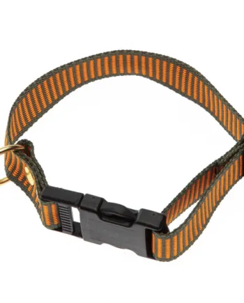 2-farvet Halsbånd - Orange / Grøn Halsrem 25 mm x 60 cm