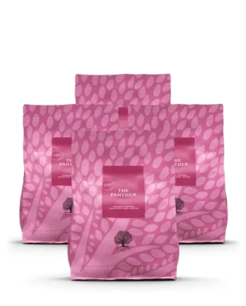 Essential Panther kattemad til indekatte - 4 x 3 kg