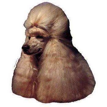 Puddel Klistermærke – Vis din kærlighed til pudler!