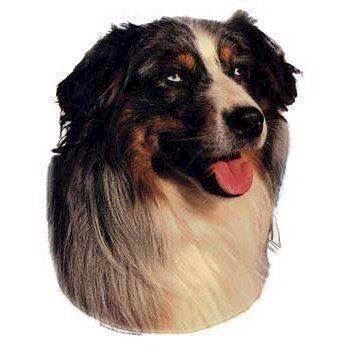 Sheepdog klistermærke - Gaven til hundeelskere!