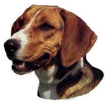 Hamilton Hound klistermærke til hundeelskere – Bestil nu!