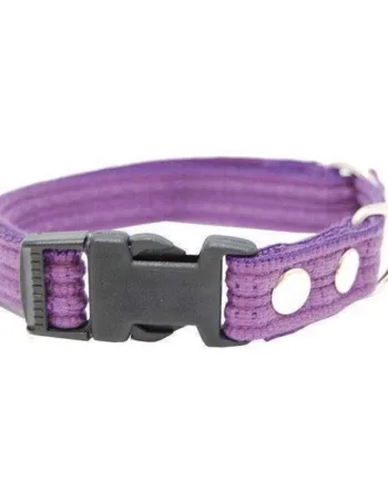 Stilfuldt lilla hundehalsbånd med snaplås – kvalitet til din hund!