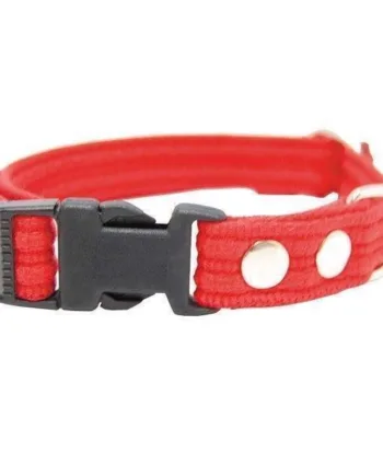 Rødt webbinghalsbånd med snaplås til store hunde – Kvalitet!