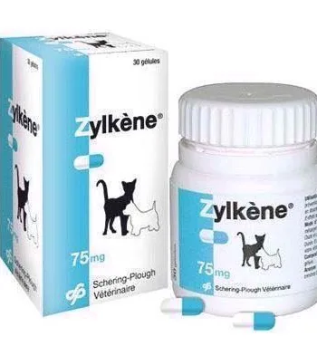 Zylkène 450 mg - Beroligende kosttilskud til stressede hunde
