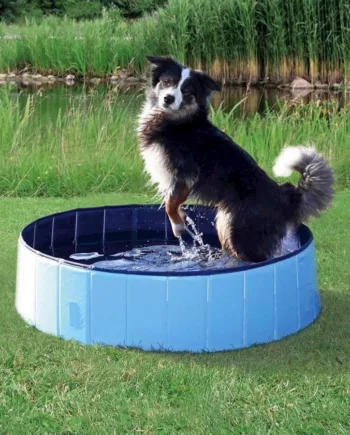 Vandbassin til store hunde – 160 x 30 cm på tilbud!