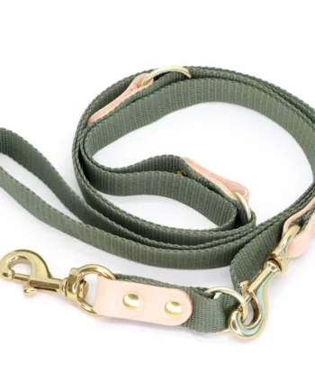 Grøn Hundesnor med karabinhage - Dressurline 25 mm x 250 cm i webbing