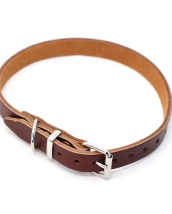 Brunt hunde halsbånd i læder, Halsrem 16 mm x 45 cm