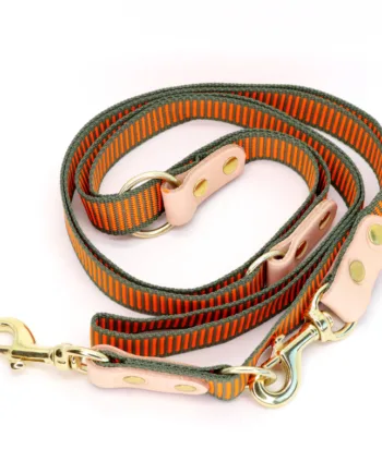 2-farvet hundesnor med karabinhage - Dressurline 25 mm x 250 cm webbing