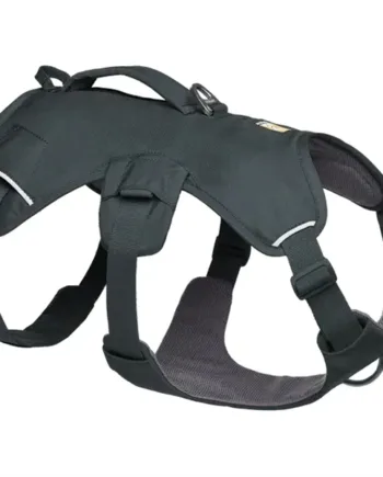 Ruffwear Web Master Sele – Basalt Grå til hundeadventure!