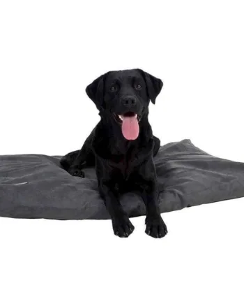 Ergonomisk hundeseng i grå memory foam – Fantastisk tilbud!