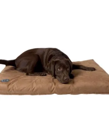 Ergonomisk hundeseng i memory foam - Komfort i Camel