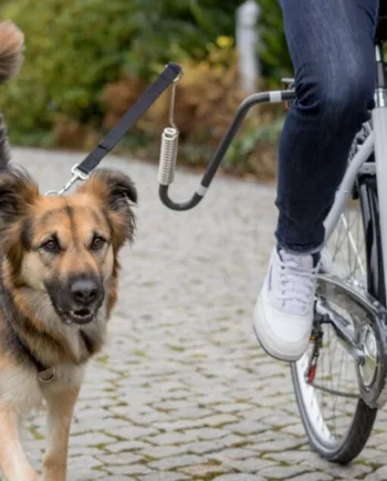 Cykelafstandsholder til hunde – Store besparelser nu!