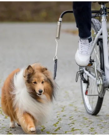 Cykelafstandsholder til hunde – Sikkerhed på cykelturen!