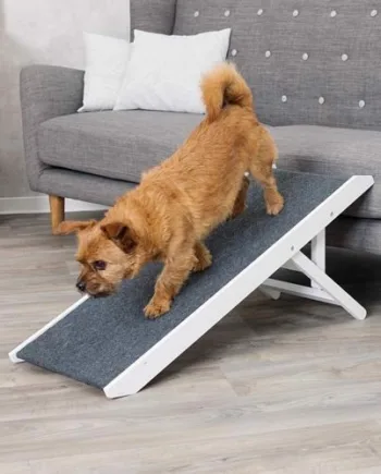Indendørs hunderampe i træ, justerbar, 36 x 90 cm