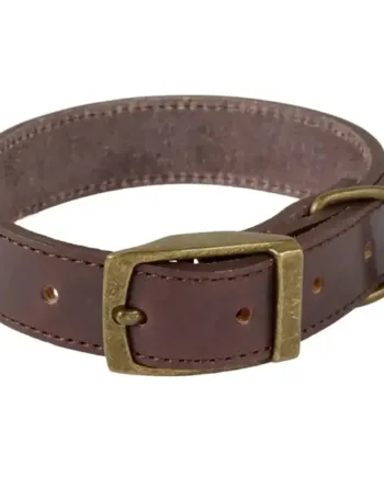 Companion læderhalsbånd, mørkebrun, 42-52 cm
