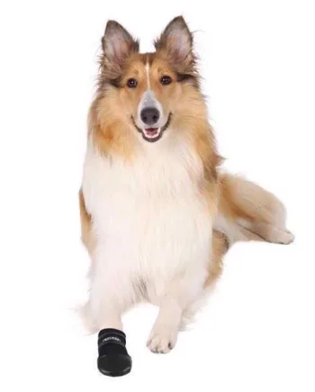 Walker Care hundestøvler, XXLarge