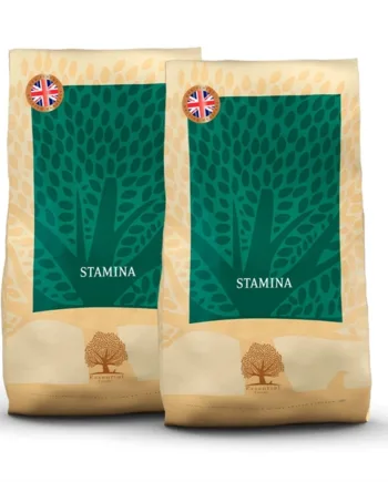 2 x 10 kg Essential Finest Heritage STAMINA til aktive hunde